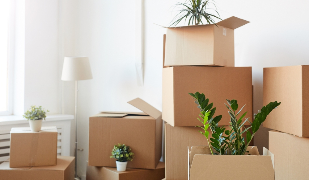 Advantages of Partial Packing Service