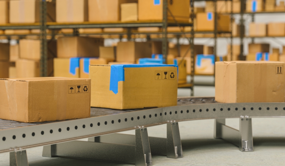 Benefits of Professional Packing Services