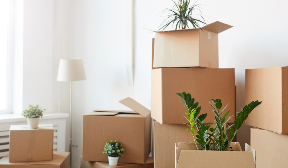 Full Packing Service vs. DIY Packing